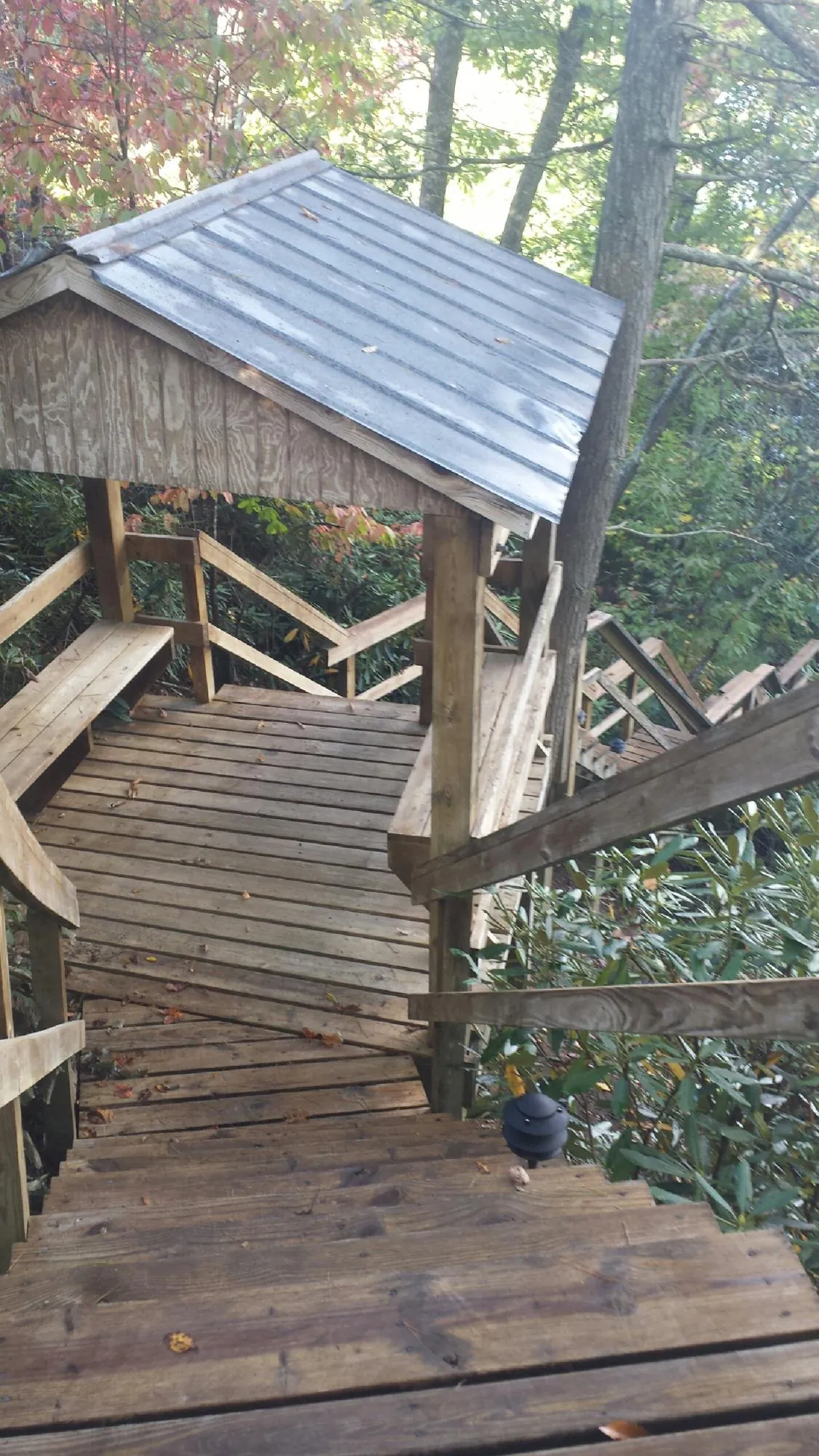 Metal roofed shelter over wooden steps on a wooded walkway — Skylight Repair & Installation work by our crew in Vida